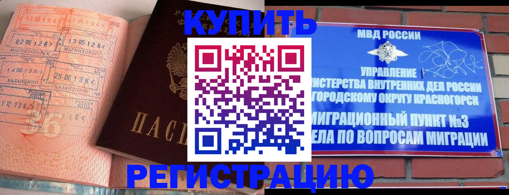 прописка 2025 в Красногорске